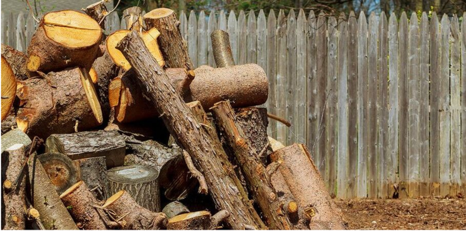 Un montón de madera después de la tala de un árbol en Boucherville